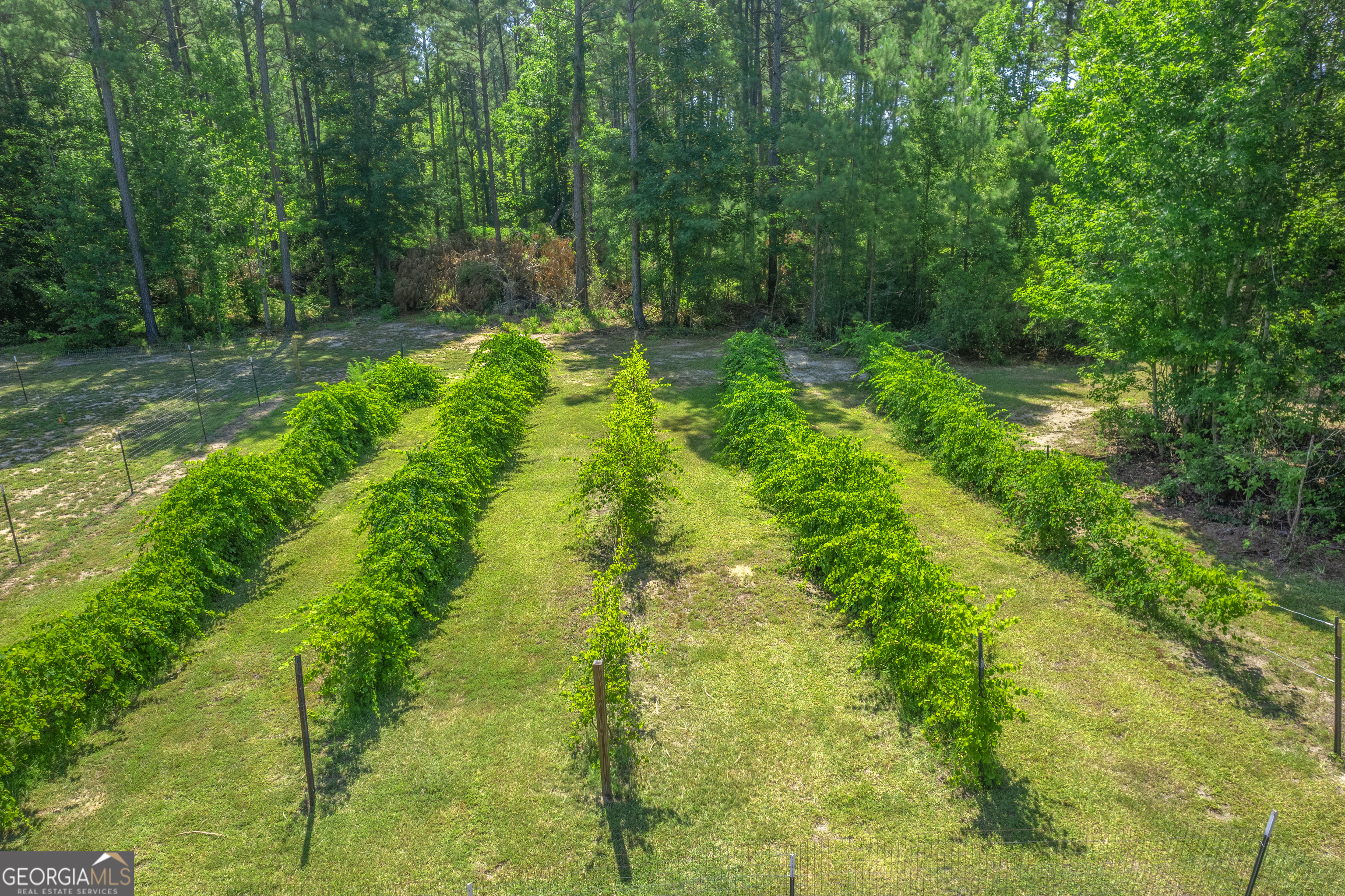 1269 Tarver Road Davisboro GA 31018