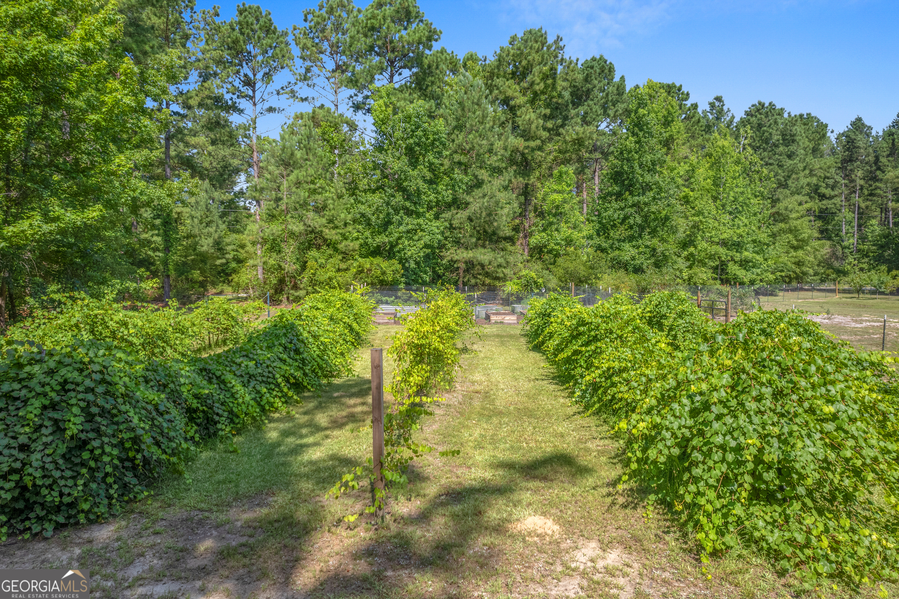 1269 Tarver Road Davisboro GA 31018