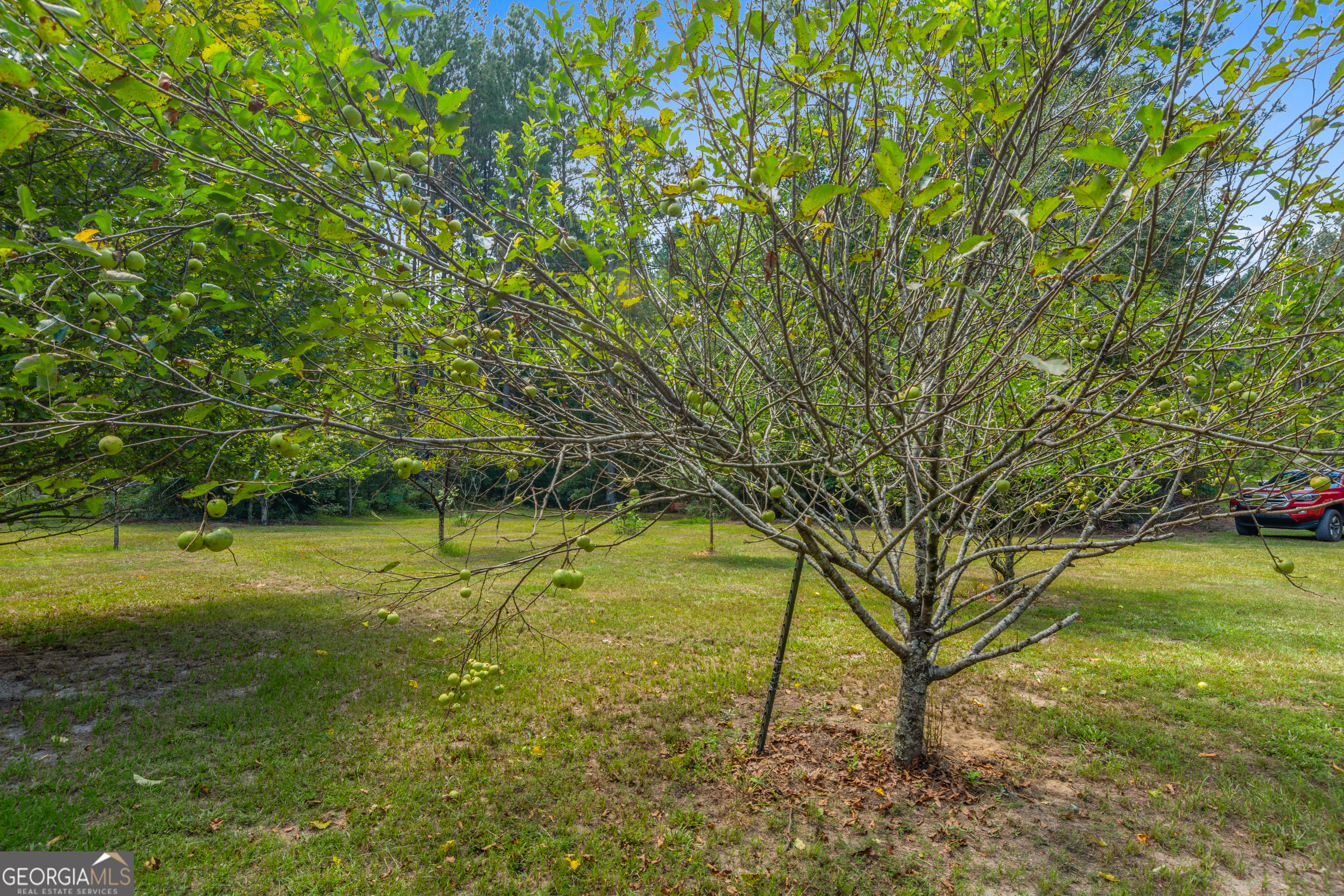 1269 Tarver Road Davisboro GA 31018