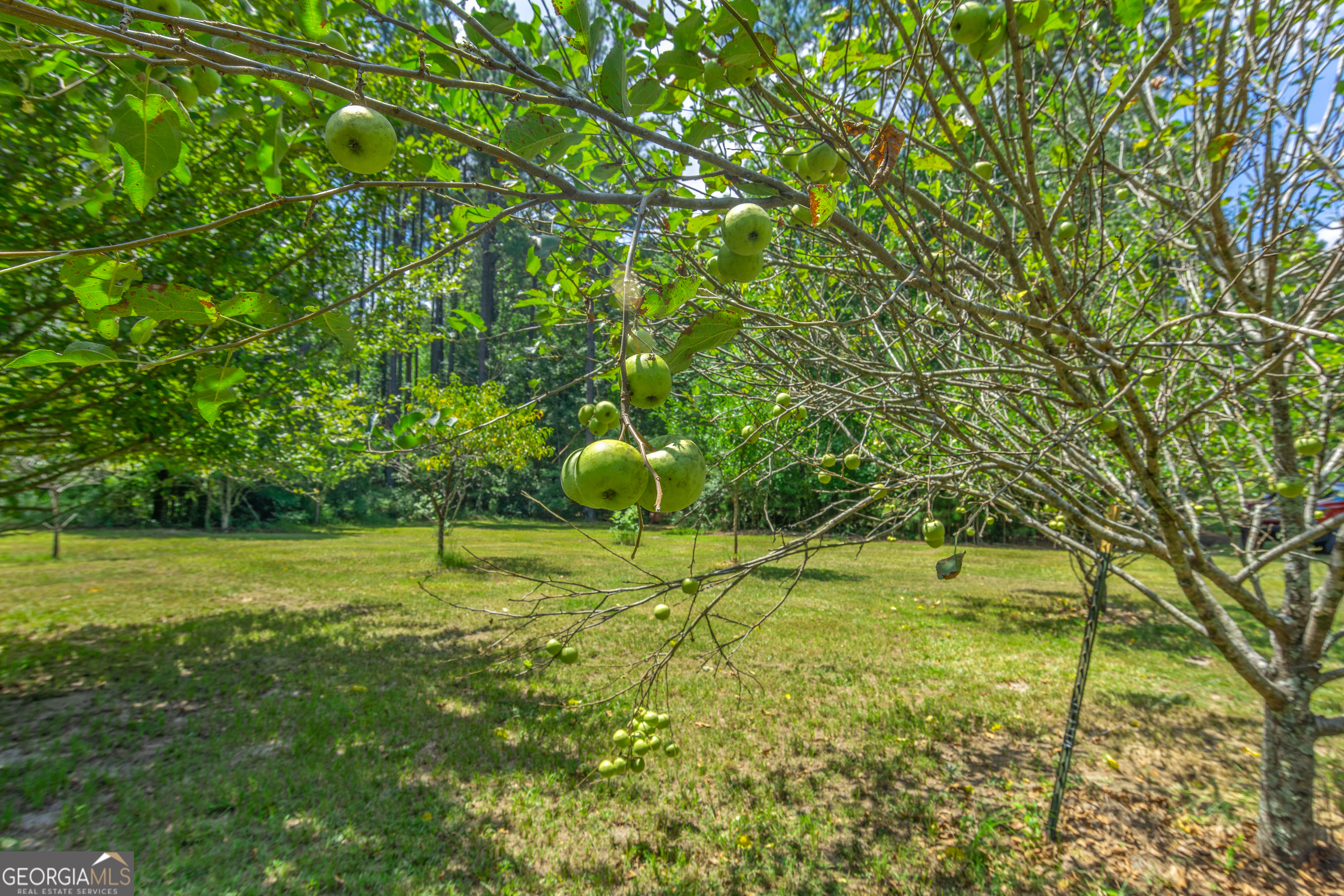 1269 Tarver Road Davisboro GA 31018