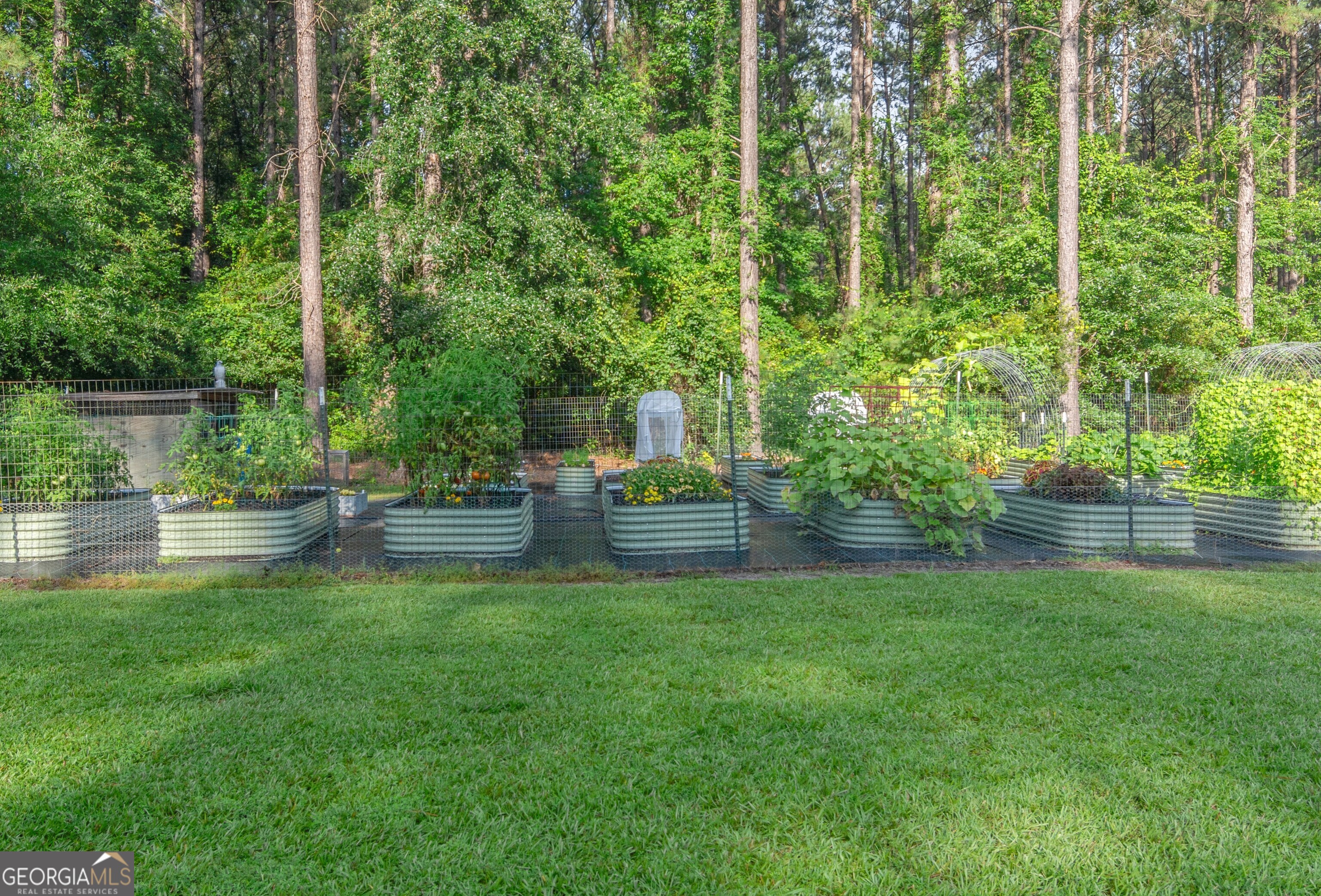 1269 Tarver Road Davisboro GA 31018