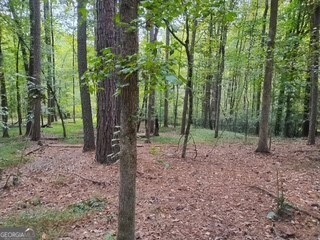 0 Old Southwick Pass Johns Creek GA 30022
