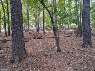 0 Old Southwick Pass Johns Creek GA 30022