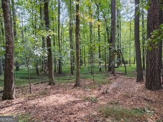 0 Old Southwick Pass Johns Creek GA 30022