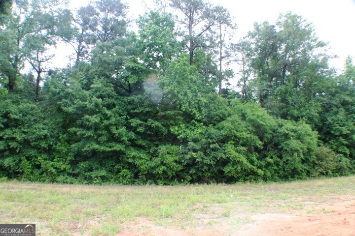 628 Ellie Circle Dublin GA 31021