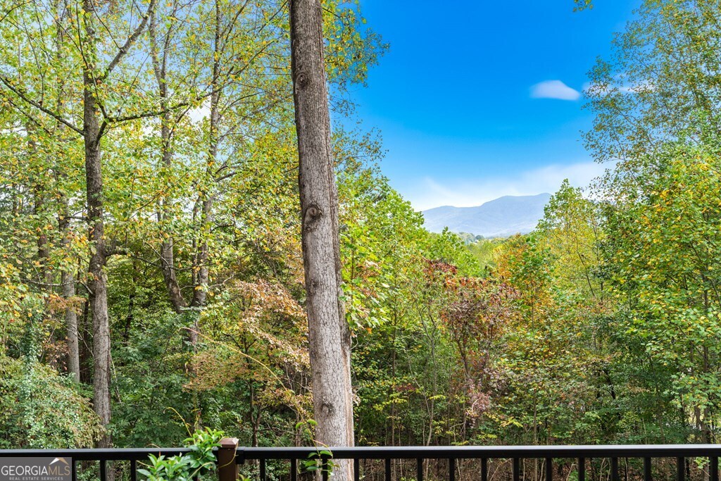 82 Hebron Way Young Harris GA 30582
