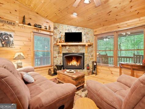 151 Hatchet Trail Cherry Log GA 30522