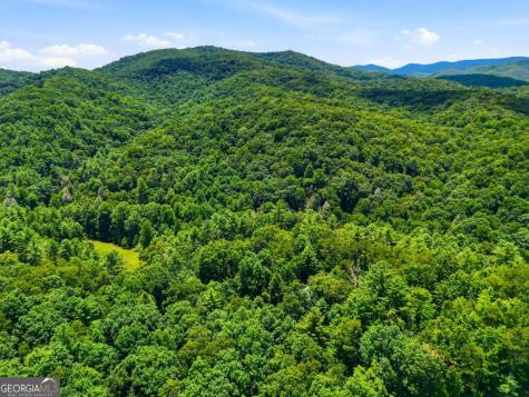 151 Hatchet Trail Cherry Log GA 30522
