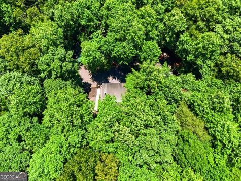 151 Hatchet Trail Cherry Log GA 30522