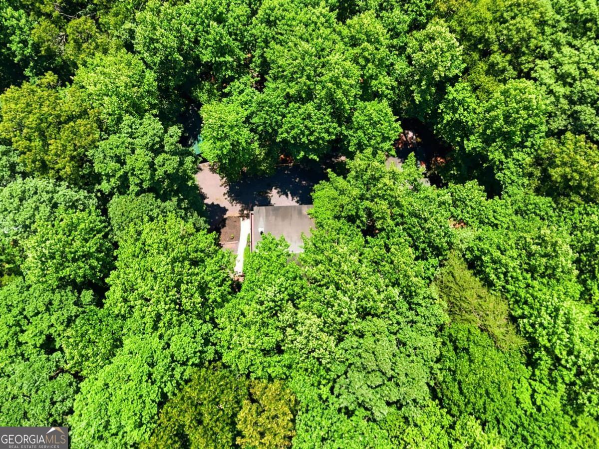 151 Hatchet Trail Cherry Log GA 30522