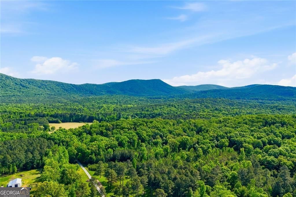 445 E Valley Road NE Rydal GA 30171