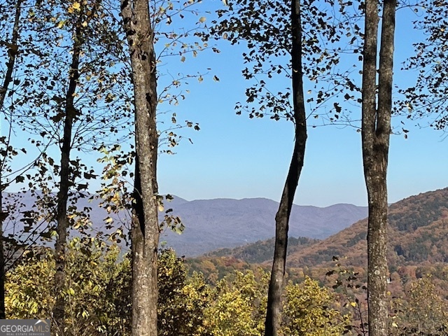 1189 Walnut Ridge Ellijay GA 30536