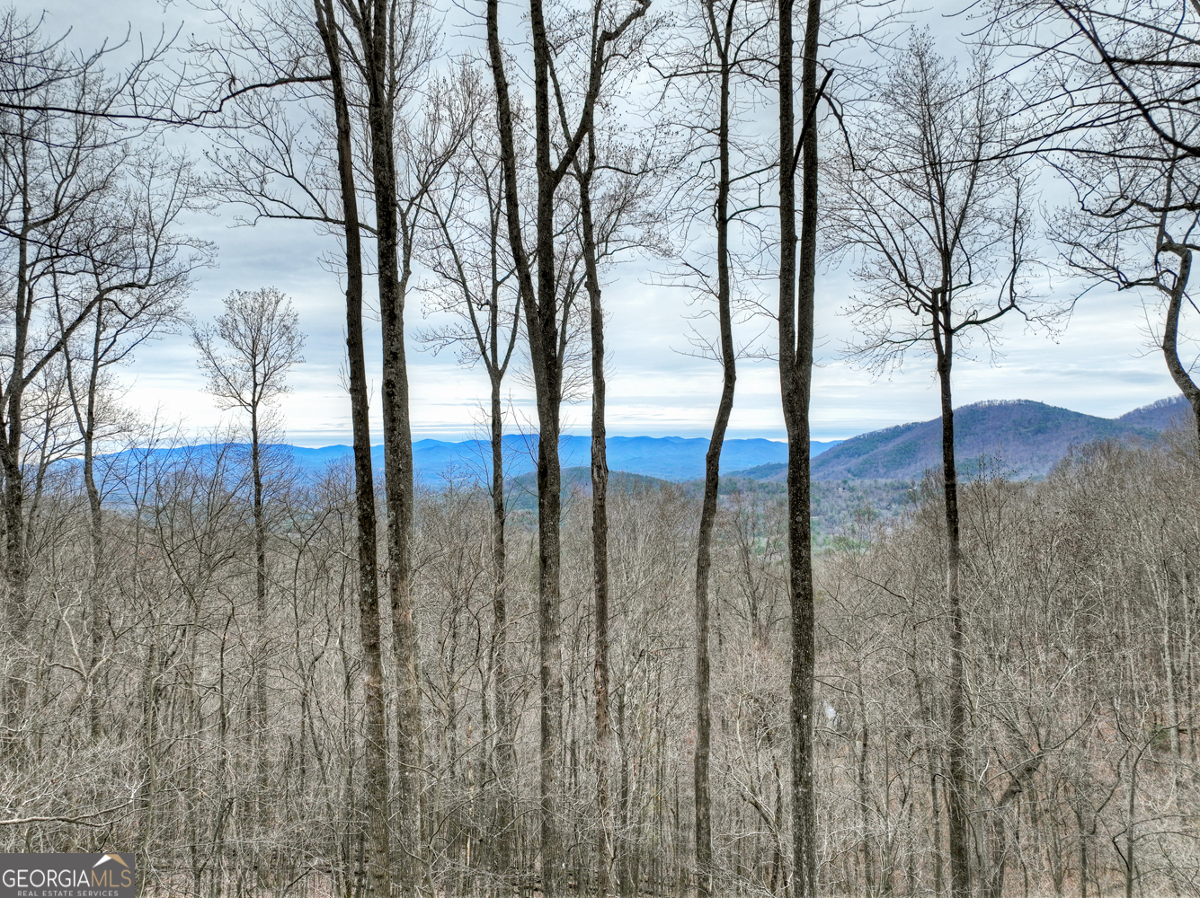 1189 Walnut Ridge Ellijay GA 30536