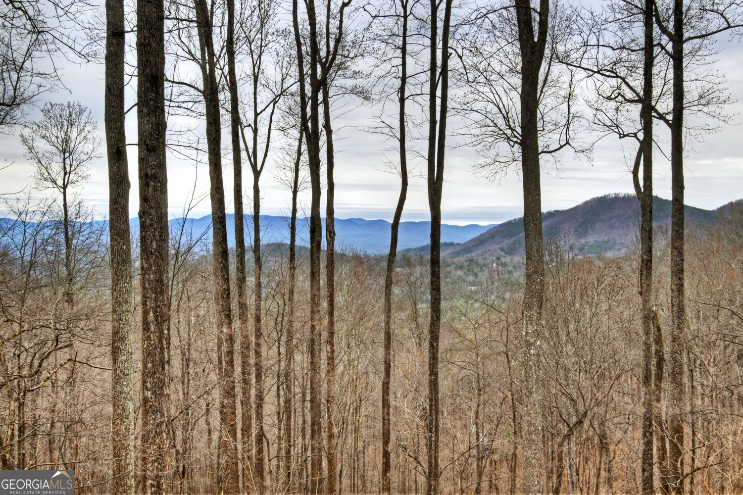 1189 Walnut Ridge Ellijay GA 30536