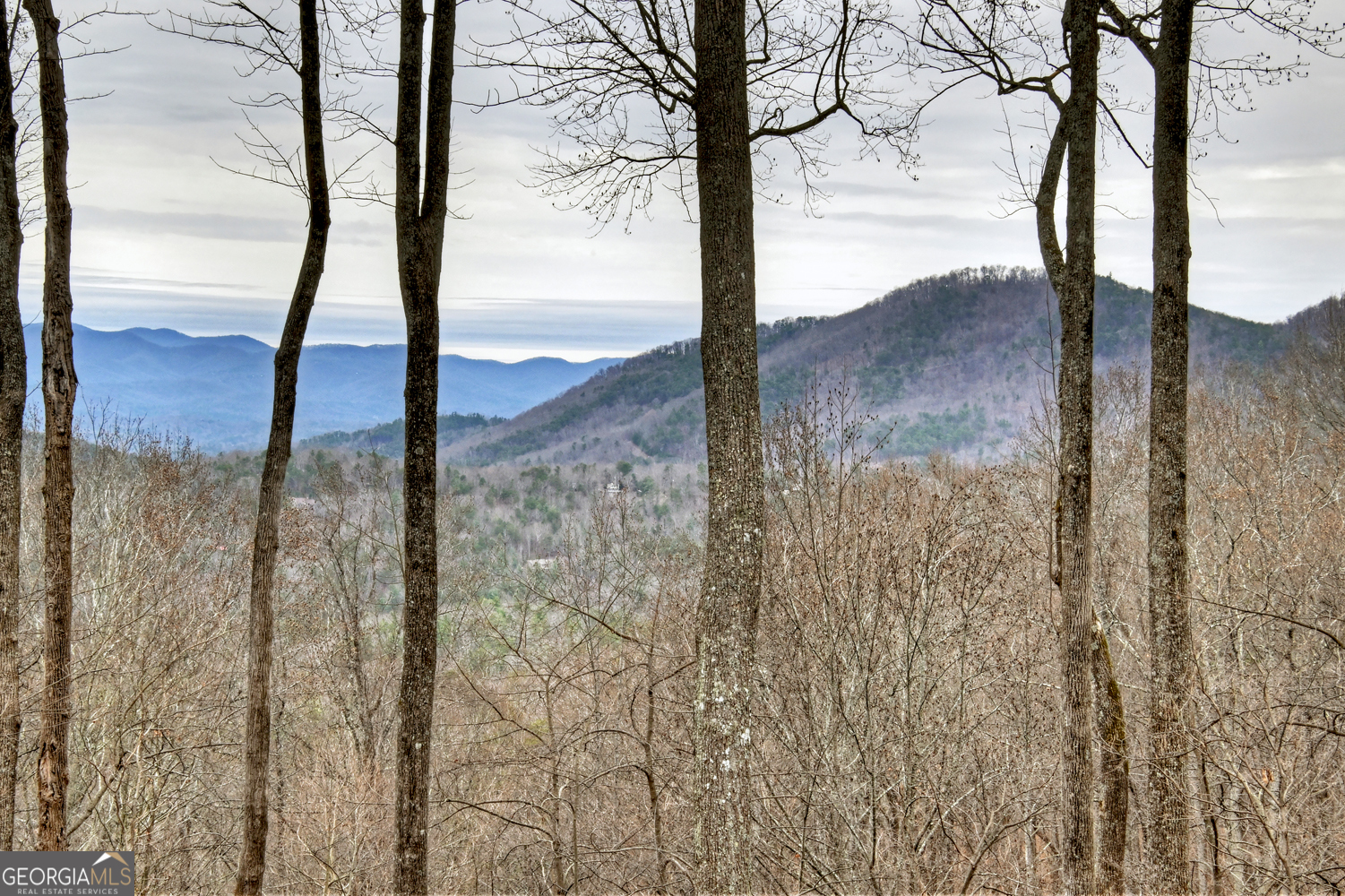 1189 Walnut Ridge Ellijay GA 30536