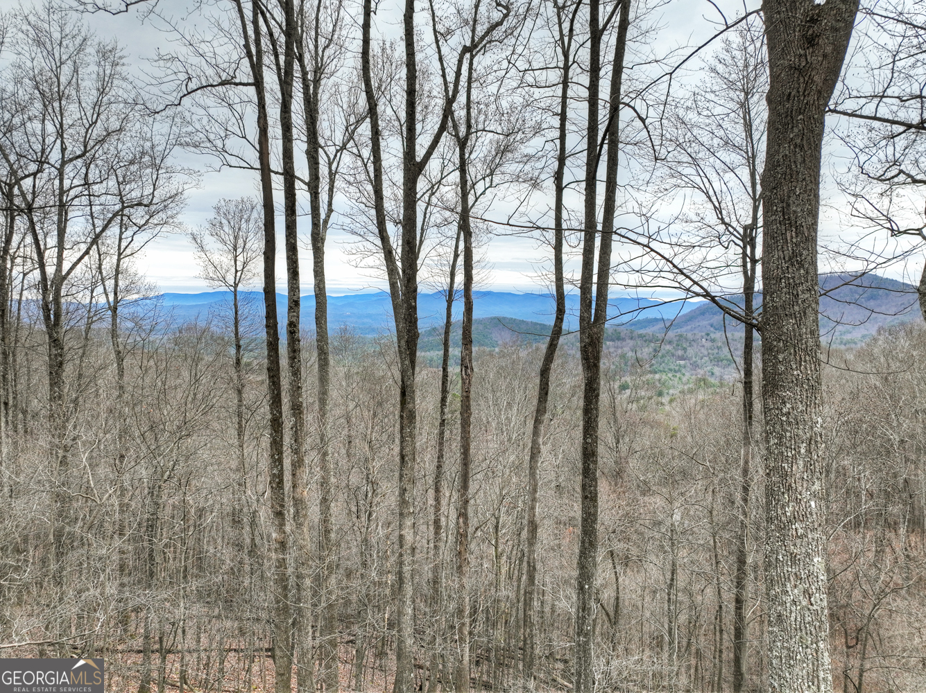 1189 Walnut Ridge Ellijay GA 30536
