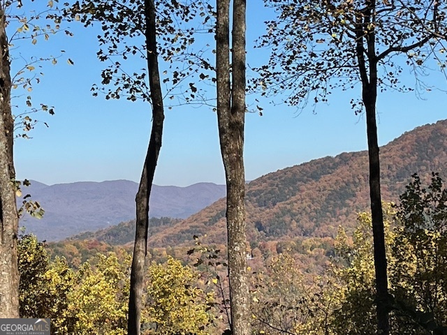 1189 Walnut Ridge Ellijay GA 30536
