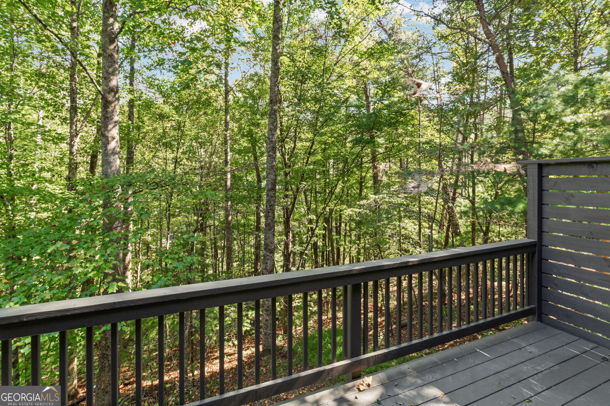90 Clubhouse Court Ellijay GA 30536