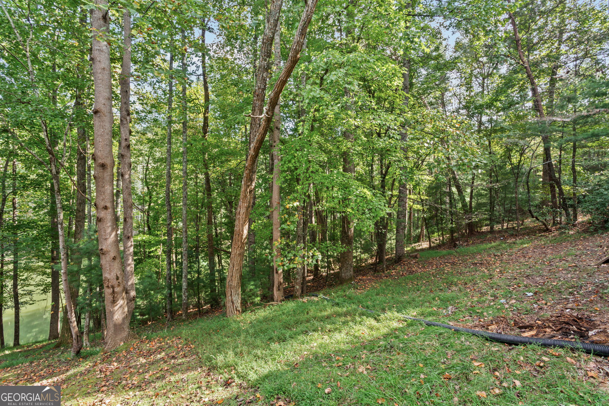90 Clubhouse Court Ellijay GA 30536