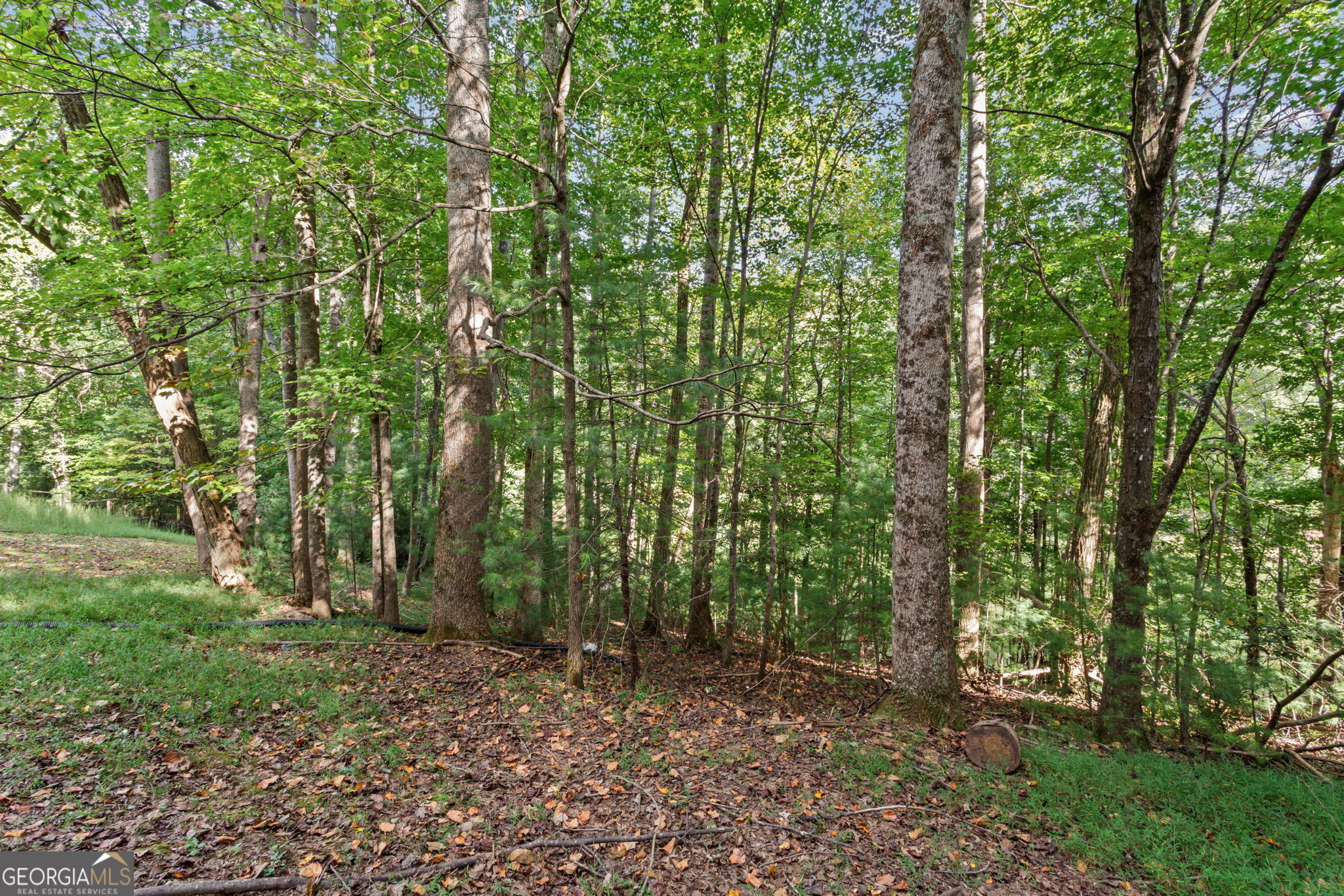 90 Clubhouse Court Ellijay GA 30536