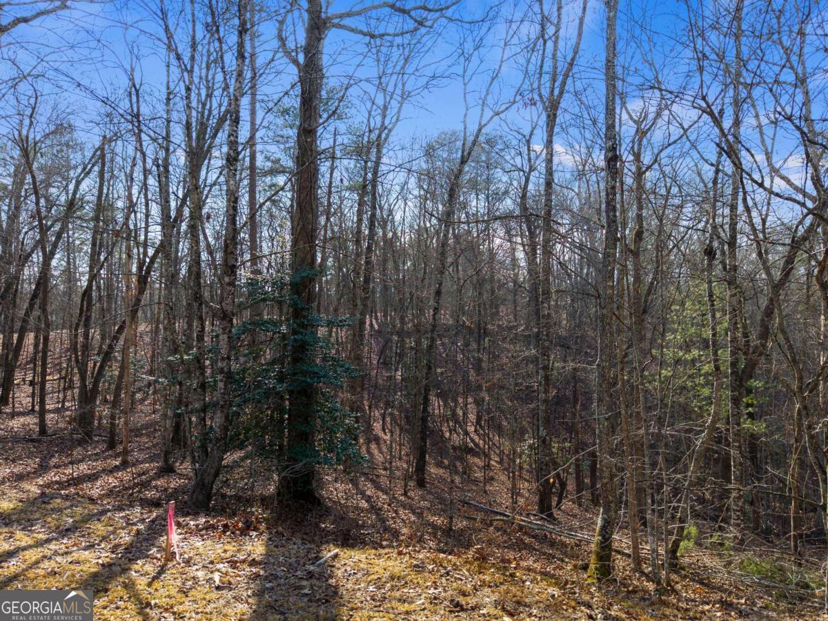 56 Robins Ridge Blue Ridge GA 30513