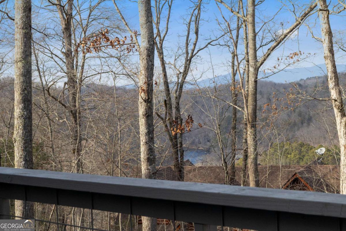 56 Robins Ridge Blue Ridge GA 30513