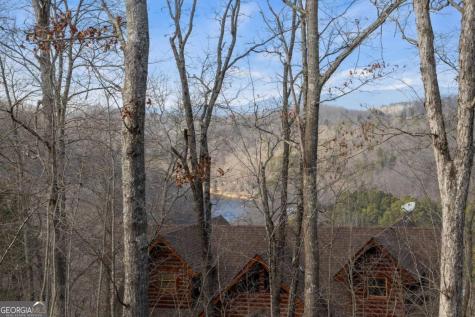 56 Robins Ridge Blue Ridge GA 30513
