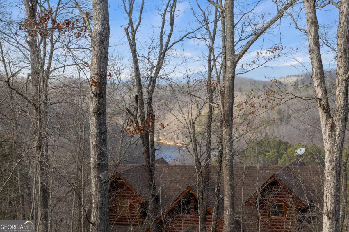 56 Robins Ridge Blue Ridge GA 30513