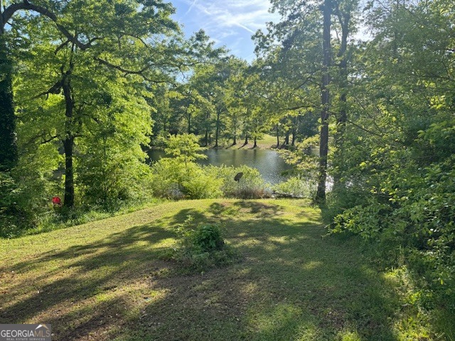217 Central Lake Circle Griffin GA 30223