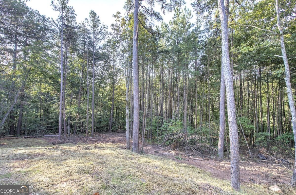 7467 Yukon Road Talking Rock GA 30175