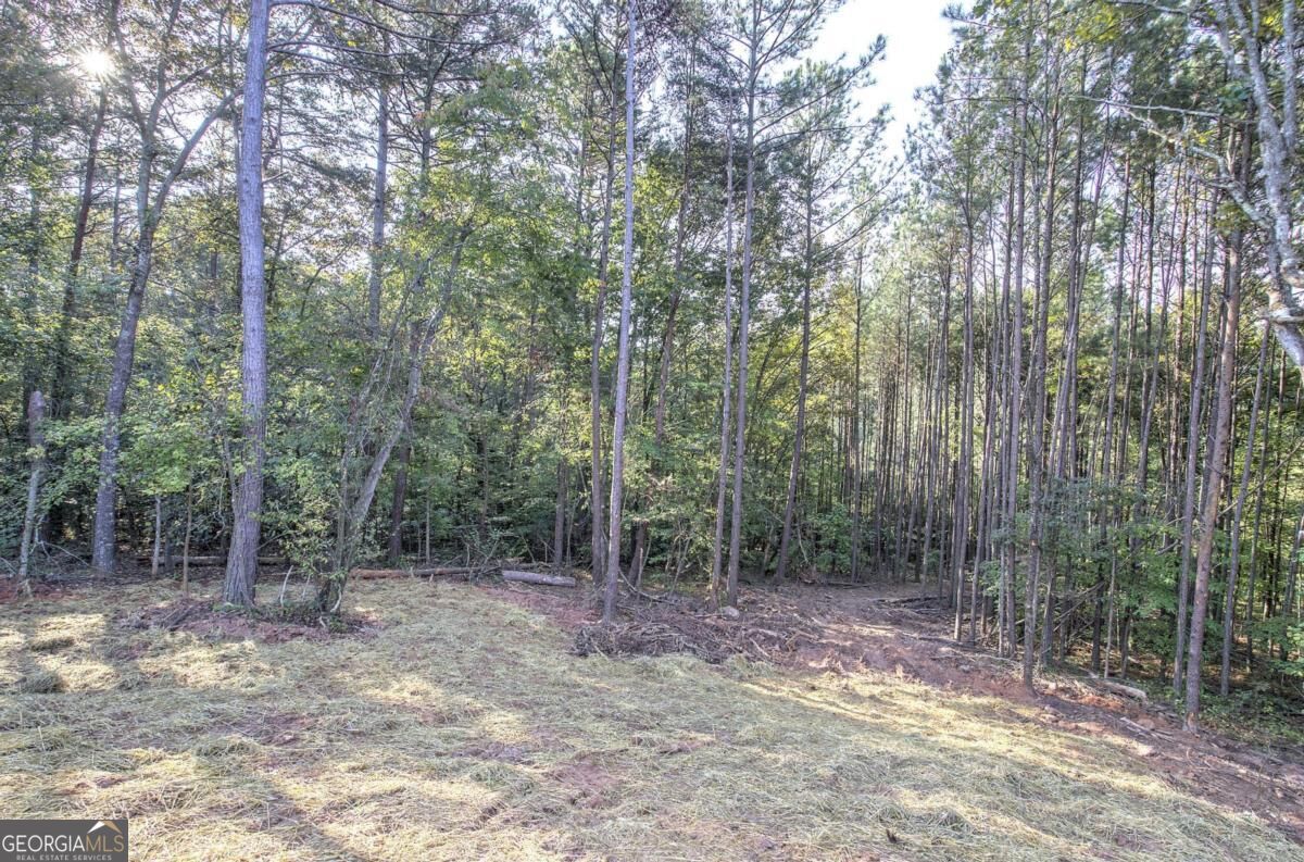 7467 Yukon Road Talking Rock GA 30175
