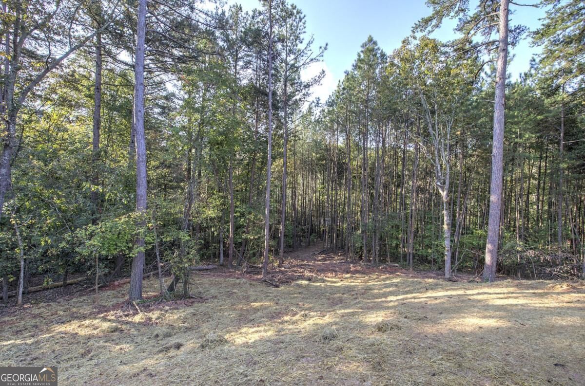 7467 Yukon Road Talking Rock GA 30175