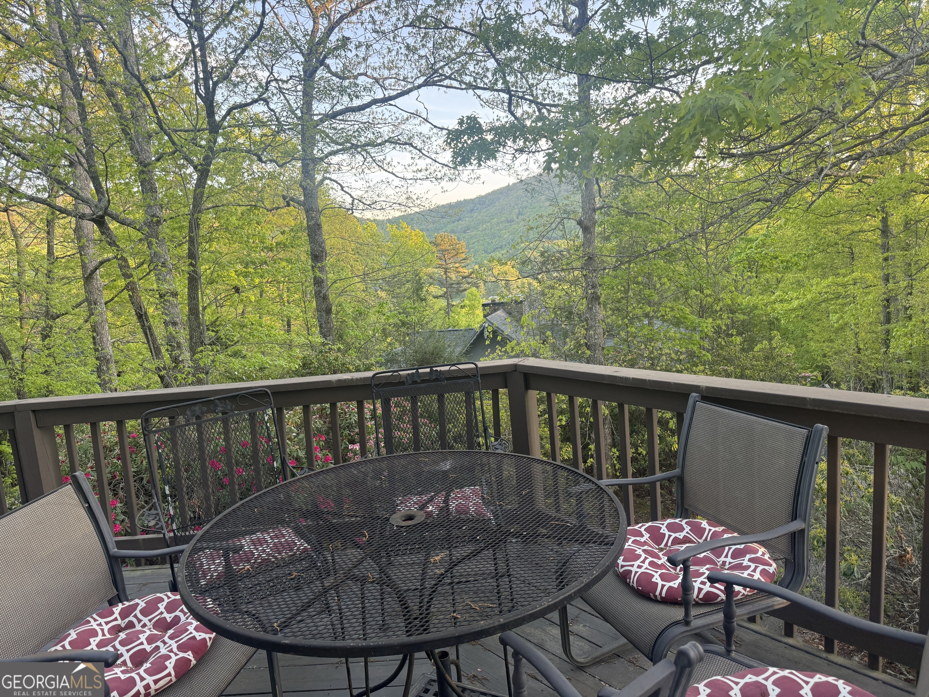 63 Mashie Lane Sky Valley GA 30537