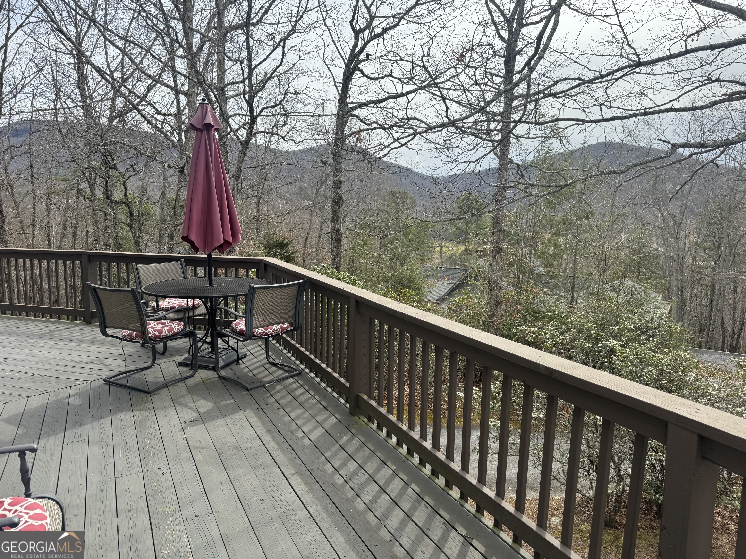 63 Mashie Lane Sky Valley GA 30537
