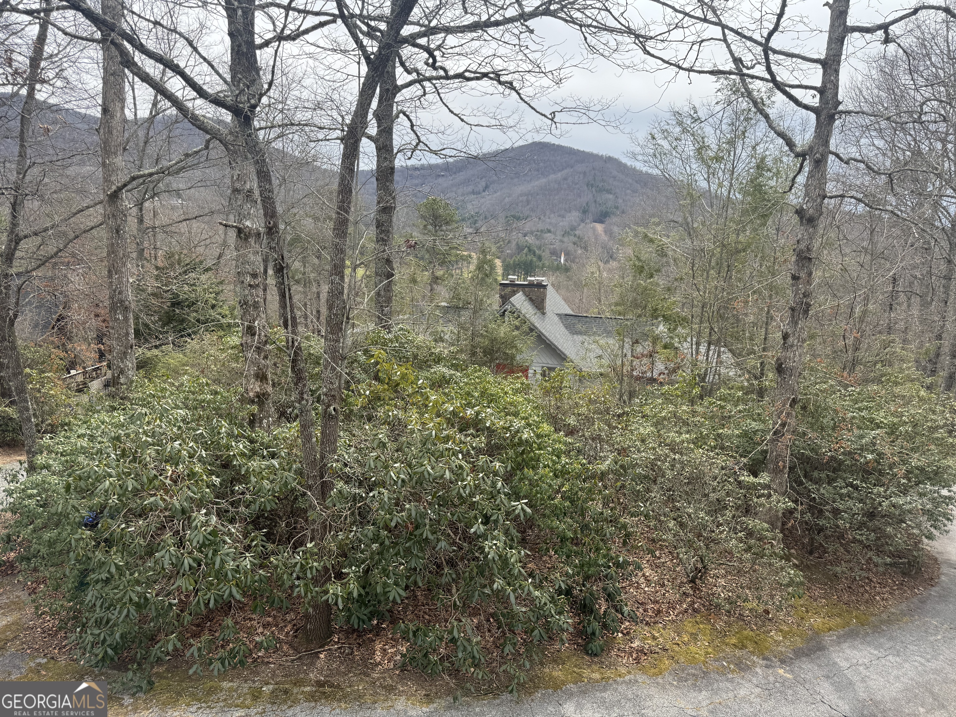 63 Mashie Lane Sky Valley GA 30537