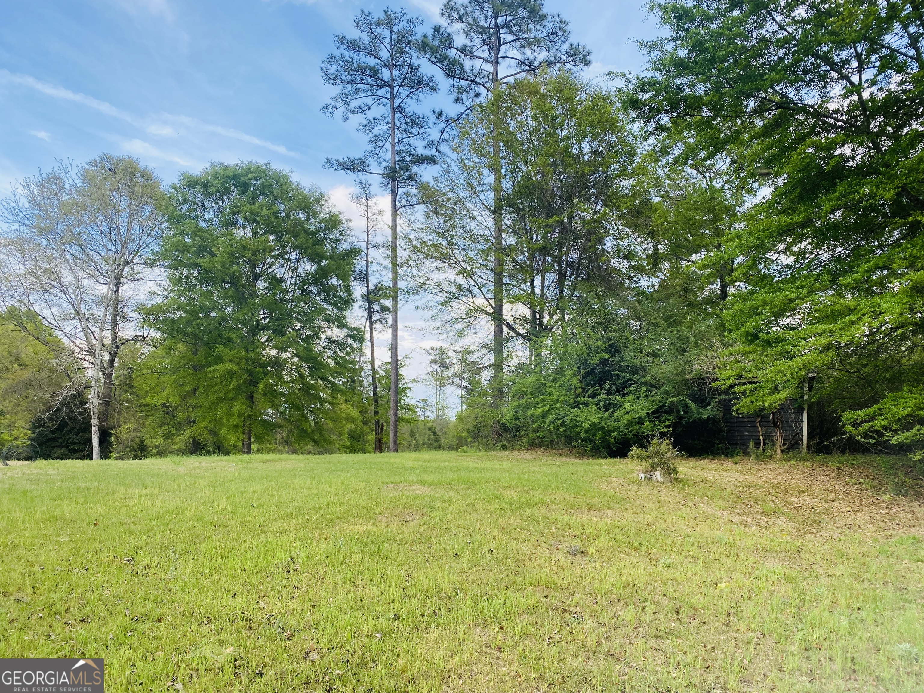 51 Forest Road Lumpkin GA 31815