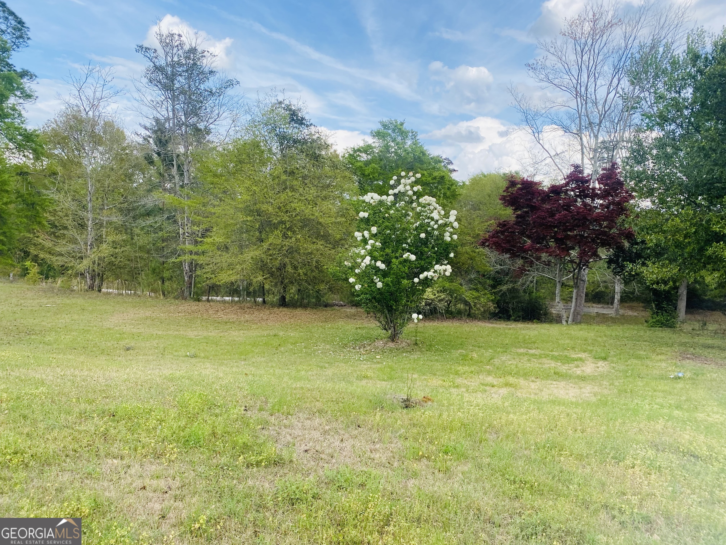 51 Forest Road Lumpkin GA 31815