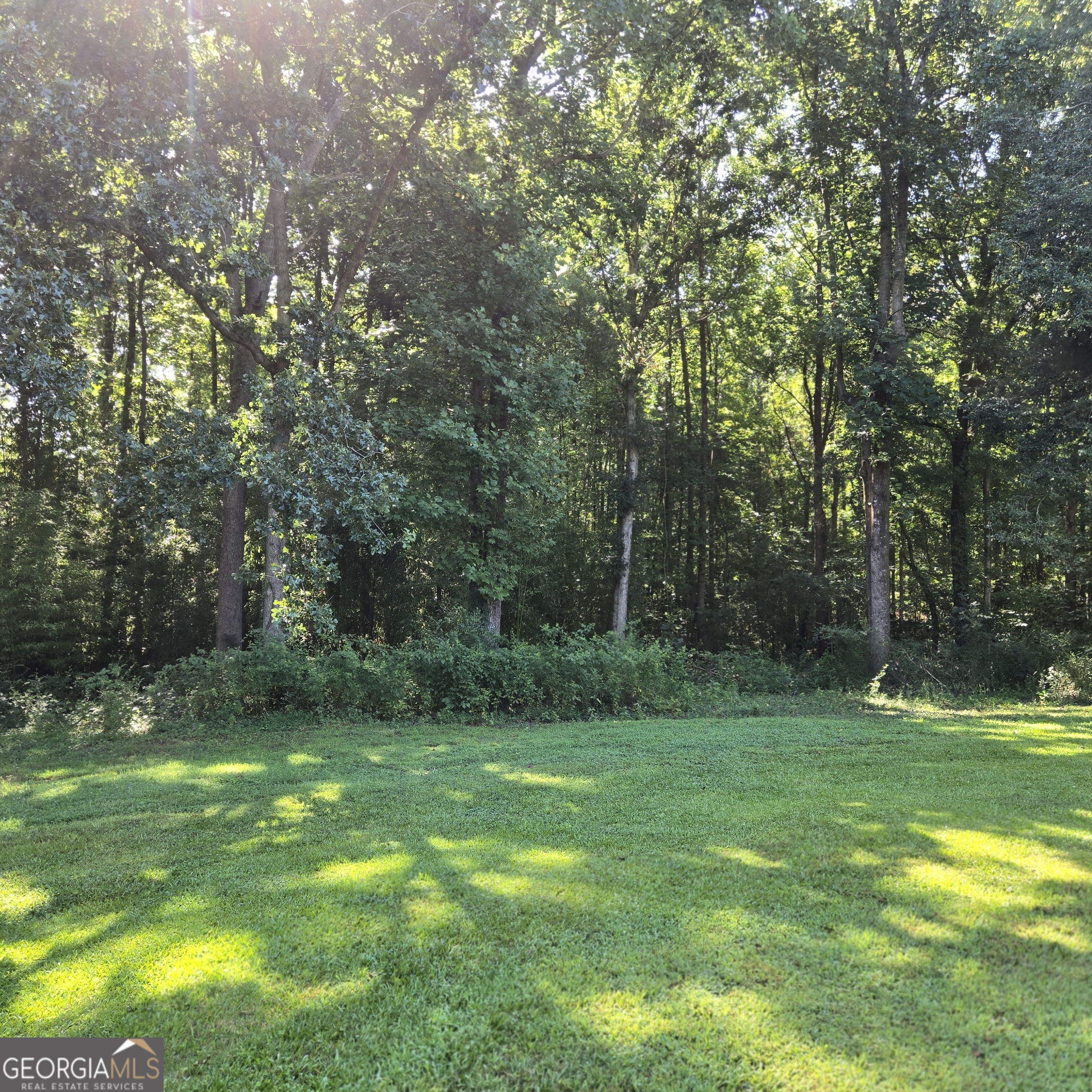 1312 Fairview School Road Demorest GA 30535