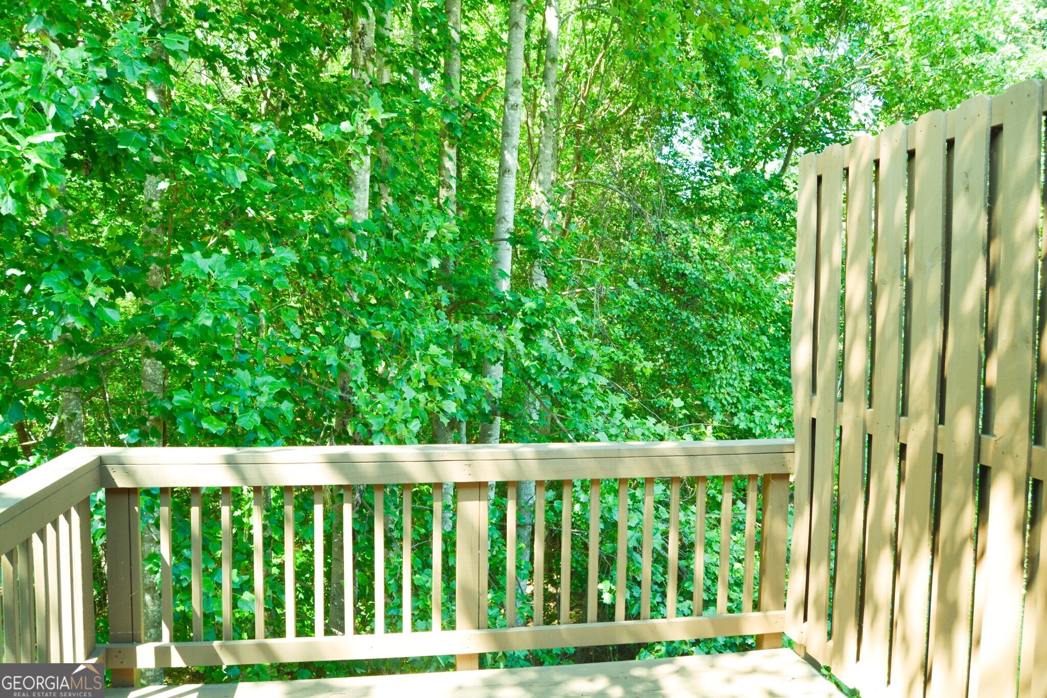 302 Pointe Circle Dahlonega GA 30533