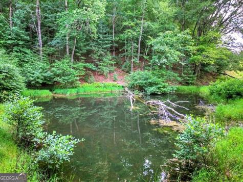 160 Mountain Field Drive Suches GA 30572