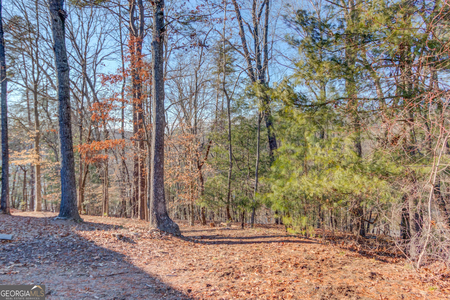 6444 Point Twenty Two Gainesville GA 30506