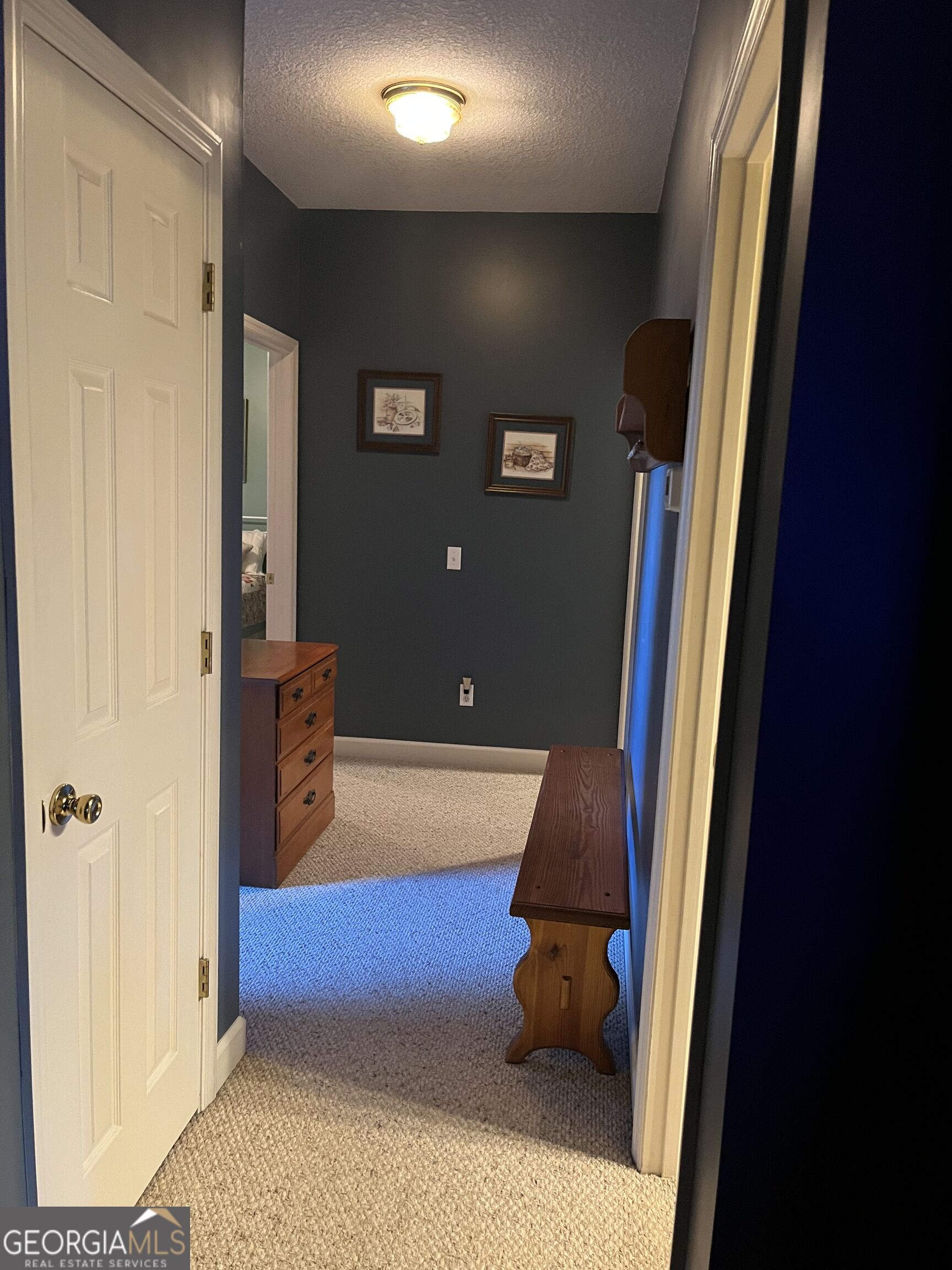 1207 Brooklet South Drive Brooklet GA 30415