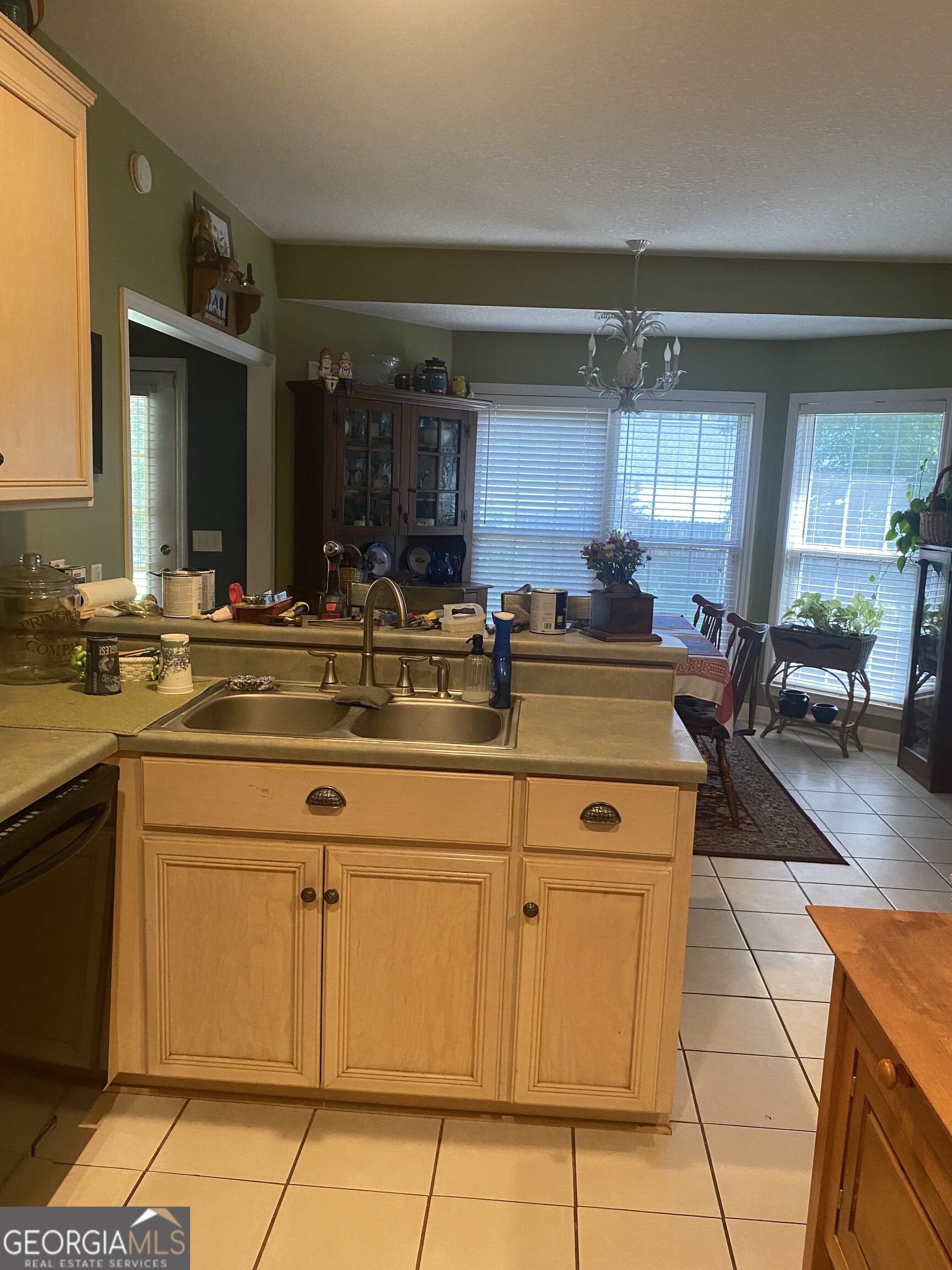 1207 Brooklet South Drive Brooklet GA 30415