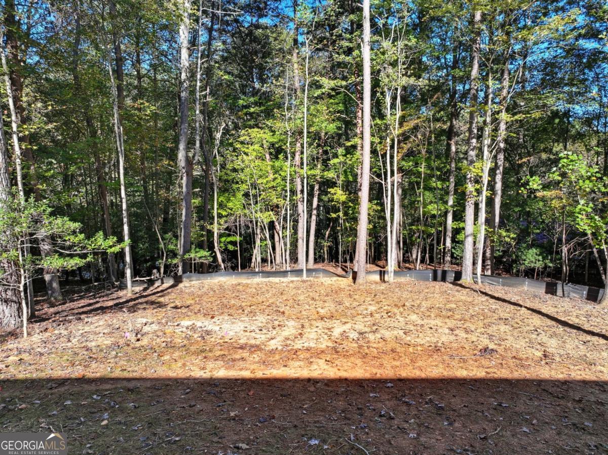 1968 Newport Drive Ellijay GA 30540