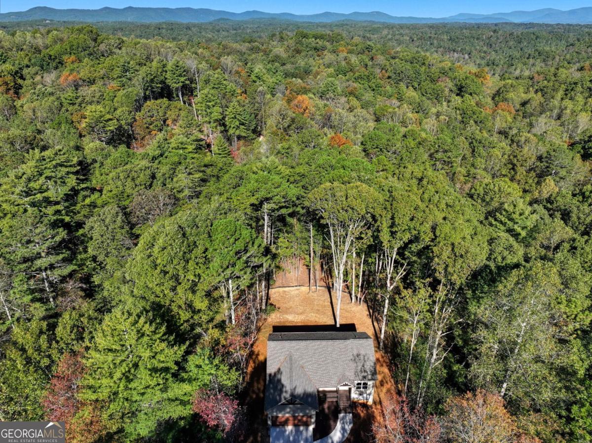 1968 Newport Drive Ellijay GA 30540