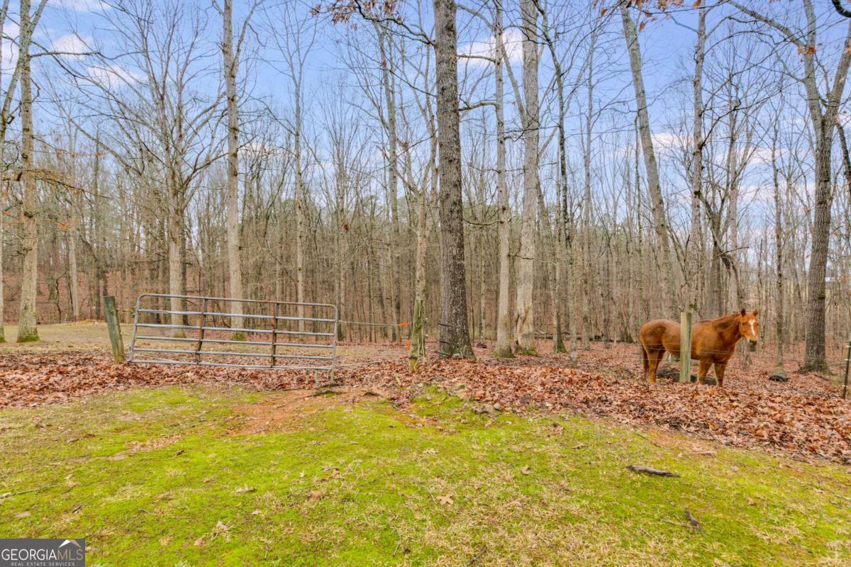 630 Stoney Point Road Bowdon GA 30108