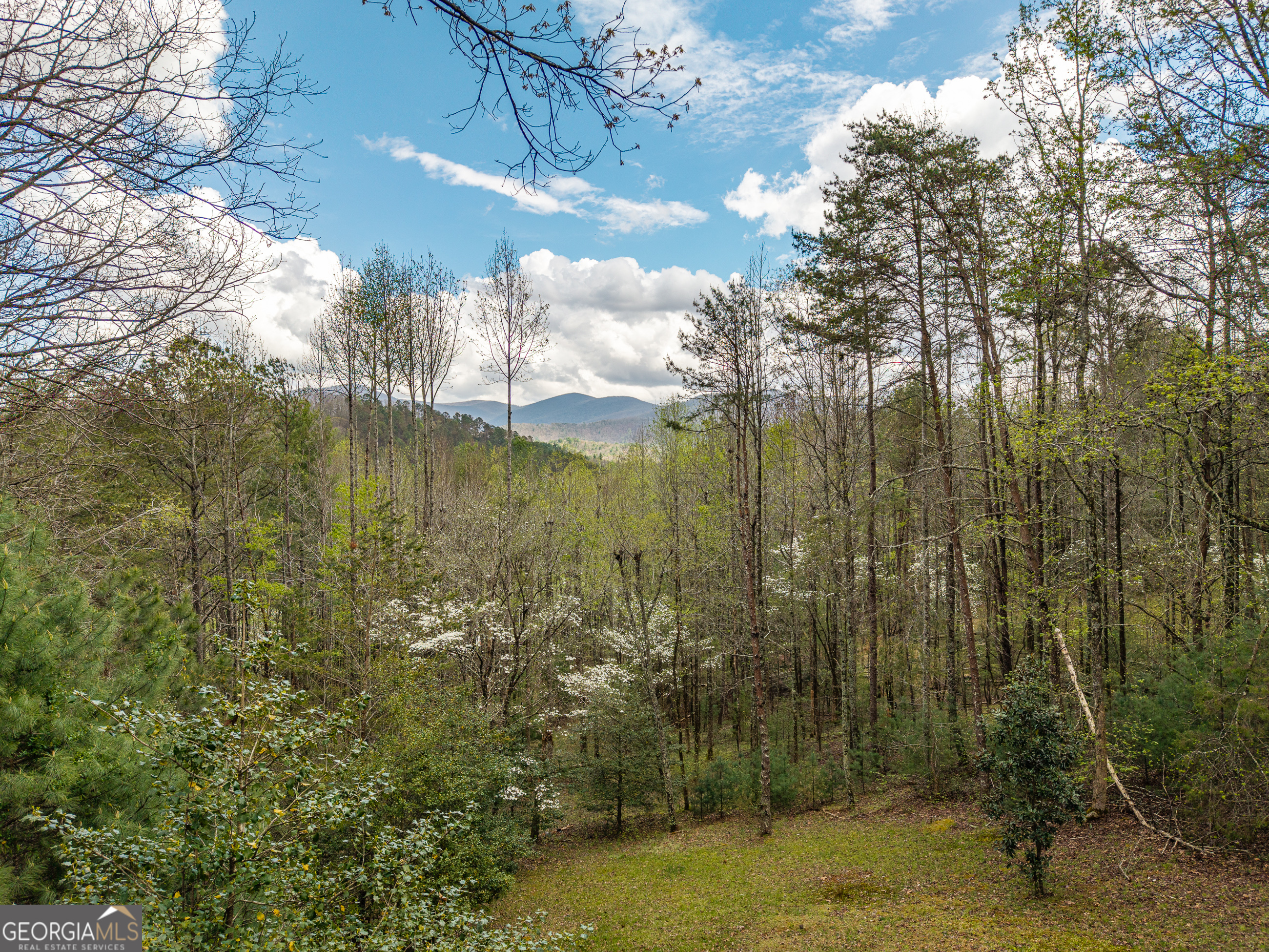 238 Cedar Ridge Road Cherry Log GA 30522