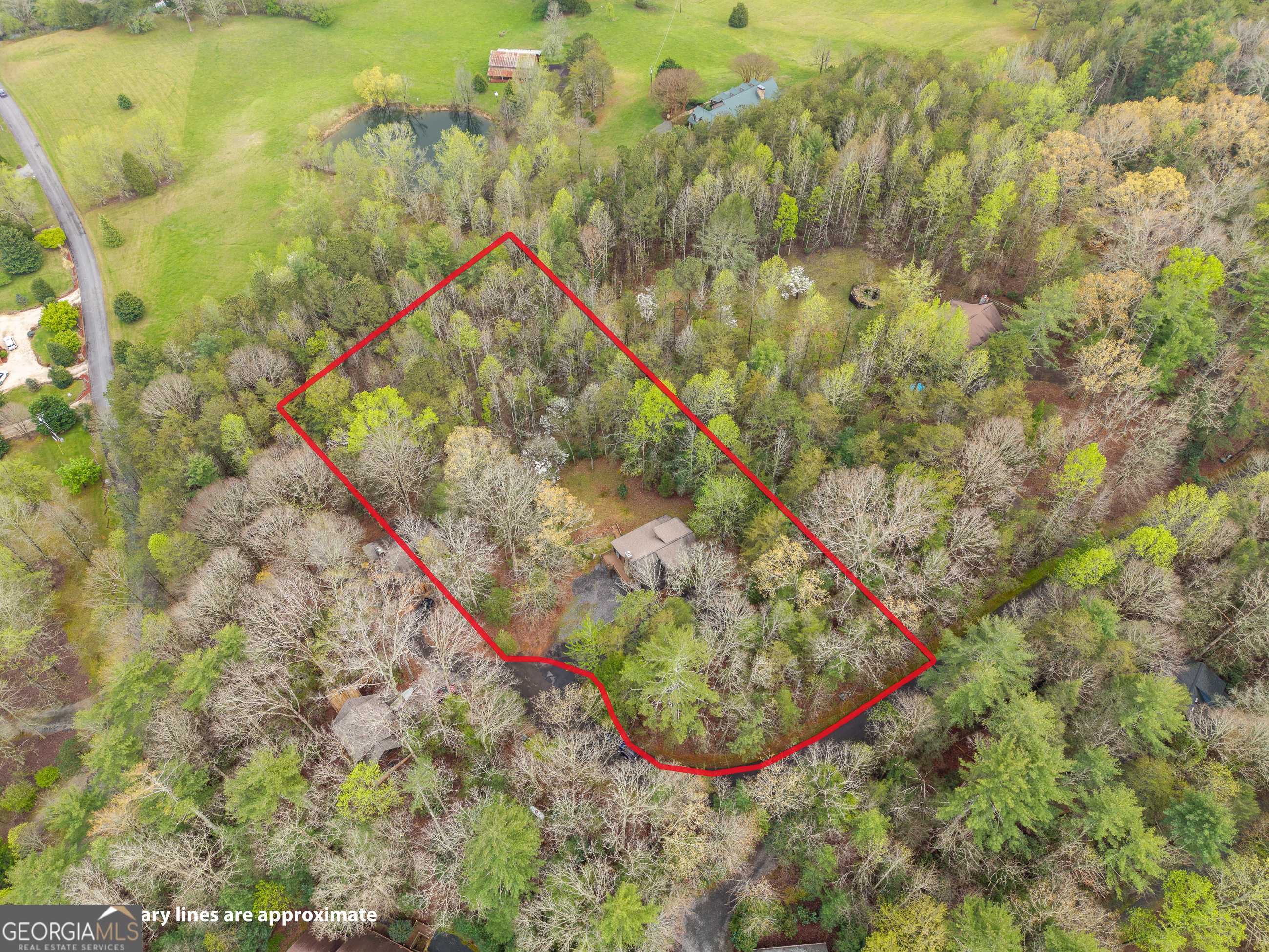 238 Cedar Ridge Road Cherry Log GA 30522