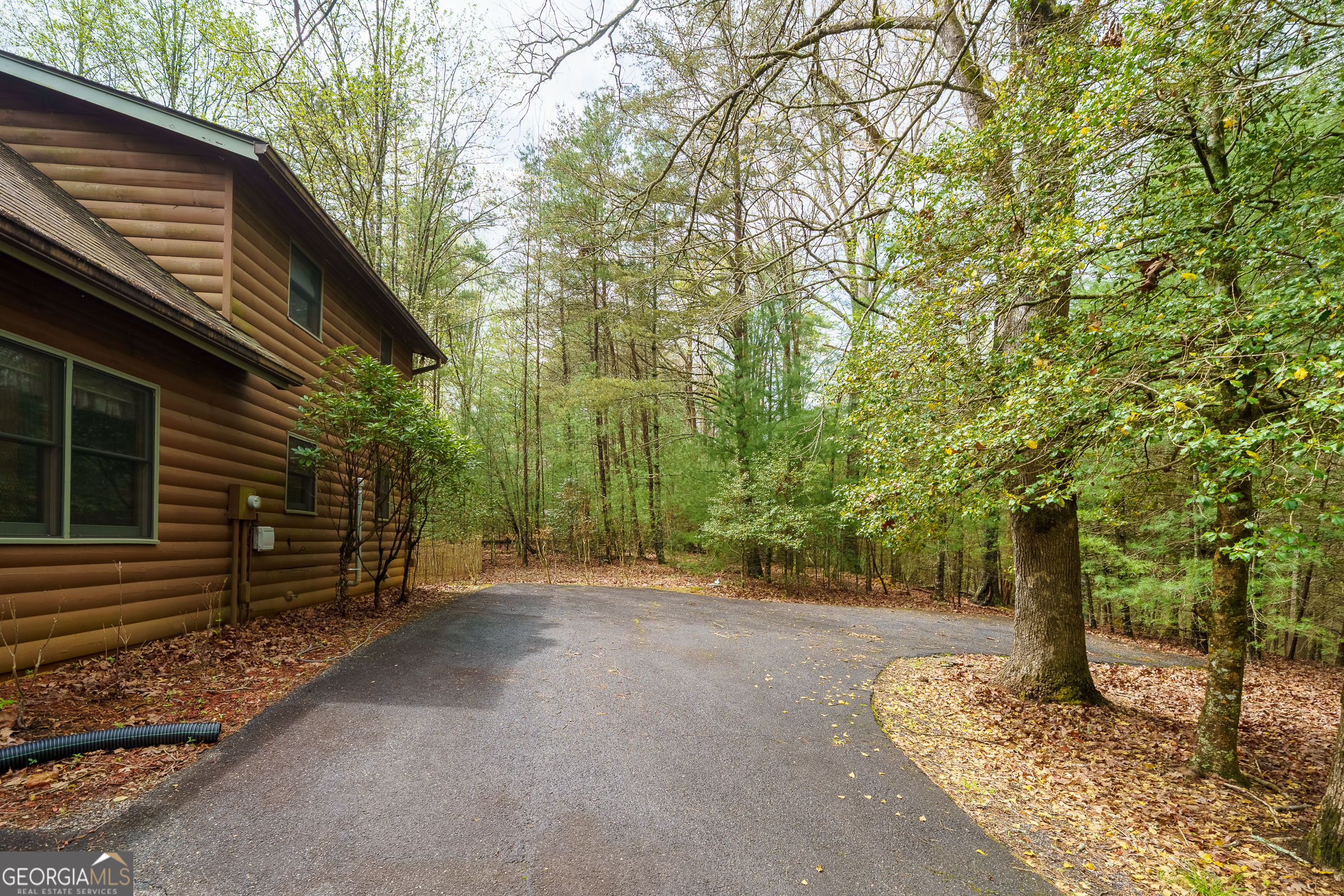 238 Cedar Ridge Road Cherry Log GA 30522