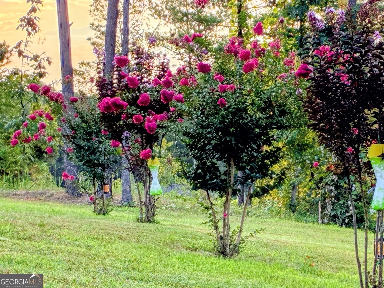 287 Bell Loop Chatsworth GA 30705